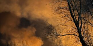 DRAMATIČNA SITUACIJA NA TREBEVIĆU Vatrogasci se bore sa VATROM sumnja se da je područje MINIRANO