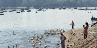 Evo šta će se dešavati u Zemunu od 2. do 8. juna!