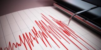 Zemljotres u Srbiji, rano jutros: Ovaj deo zemlje se zatresao