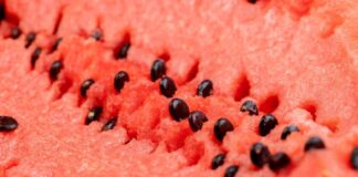 Da li treba da jedemo koštice iz lubenice? Istina koju većina ne zna, evo kako utiču na telo i zdravlje Da li treba da jedemo koštice iz lubenice? Istina koju većina ne zna, evo kako utiču na telo i zdravlje - featured image