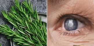 Ružmarin za zdravlje očiju: biljna otopina za liječenje katarakte i upale očiju. Ružmarin za zdravlje očiju: biljna otopina za liječenje katarakte i upale očiju. - featured image