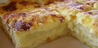 OVAKAV RUČAK BI MOGLA JESTI SVAKI DAN OVAKAV RUČAK BI MOGLA JESTI SVAKI DAN - featured image