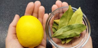 Uzmite limun i zabodite lovorov list: Neko bi trebao dobiti medalju za ovu ideju! Uzmite limun i zabodite lovorov list: Neko bi trebao dobiti medalju za ovu ideju! - featured image