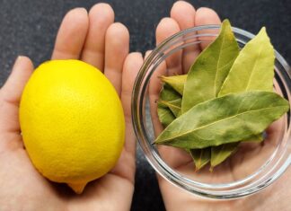 Uzmite limun i zabodite lovorov list: Neko bi trebao dobiti medalju za ovu ideju! Uzmite limun i zabodite lovorov list: Neko bi trebao dobiti medalju za ovu ideju! - featured image