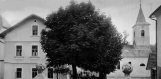 Djeca su dovela majku u staru kućicu u selu, ostavili je samu, bez hrane, i otišli. Djeca su dovela majku u staru kućicu u selu, ostavili je samu, bez hrane, i otišli. - featured image