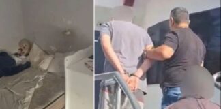 Monstruozni roditelji držali djevojčicu šest godina zarobljenu: Nije naučila govoriti, nikad nije bila kod doktora Monstruozni roditelji držali djevojčicu šest godina zarobljenu: Nije naučila govoriti, nikad nije bila kod doktora - featured image