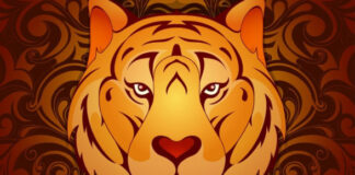 Kineski horoskop za oktobar 2025: Za 1 znak ovo je najbolji mesec u godini, imaće prelepe životne promene Kineski horoskop za oktobar 2025: Za 1 znak ovo je najbolji mesec u godini, imaće prelepe životne promene - featured image