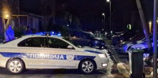 Masakr u Srbiji: Otac i sin ubijeni, ranjeni žena i drugo dijete Masakr u Srbiji: Otac i sin ubijeni, ranjeni žena i drugo dijete - featured image