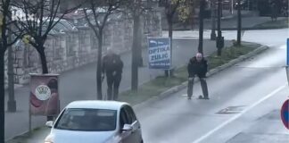 Utvrđuje se da li su policajci koji su pucali na pljačkaše u Kalesiji postupili po zakonu Utvrđuje se da li su policajci koji su pucali na pljačkaše u Kalesiji postupili po zakonu - featured image