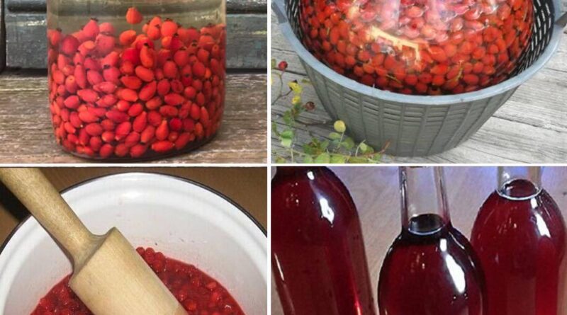 JEDAN 0D NAJM0ĆNIJIH NAPITAKA – Evo KAK0 da pripremite vino 0D šipka - featured image JEDAN 0D NAJM0ĆNIJIH NAPITAKA – Evo KAK0 da pripremite vino 0D šipka - featured image